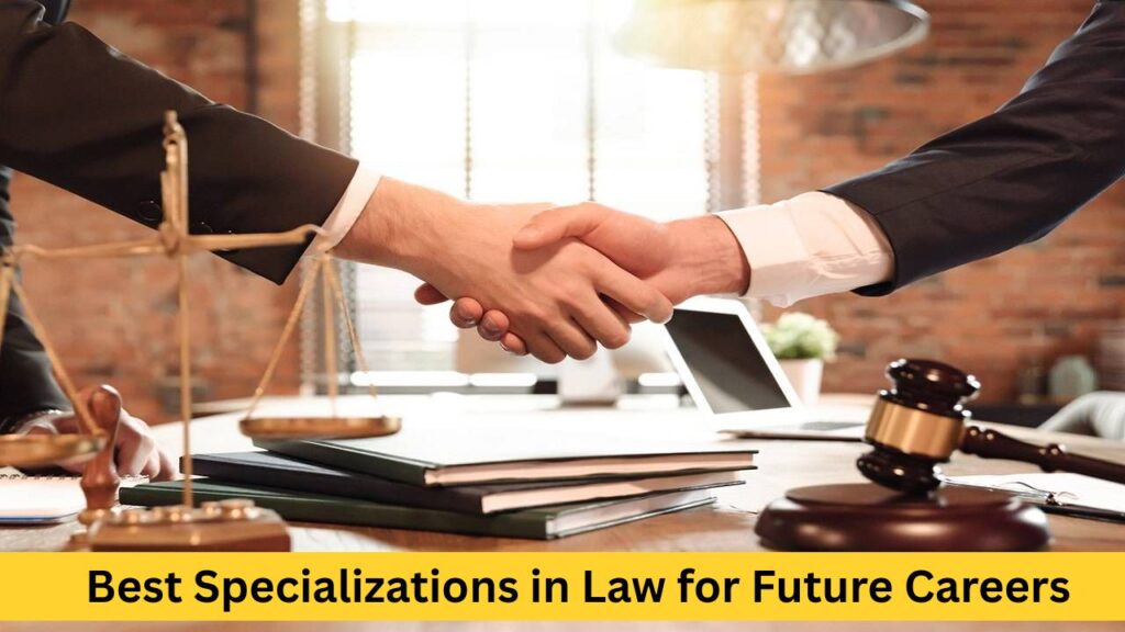 Best Specializations in Law for Future Careers