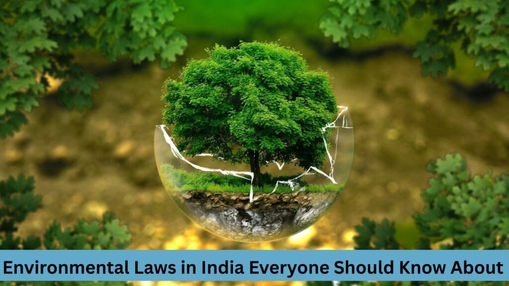 Environmental Laws in India Everyone Should Know About